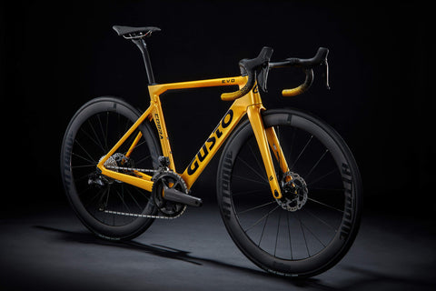 COBRA EVO DB ELITE ULTRA 2024 - Team Gold <br> > Dostupno na webshopu