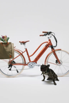 CLEOPATRA 3.5 Swiss E-bike - Black <br> > Dostupno na webshopu