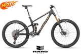 GREER CARBON TOP SHELF XTR Di2 - Matte Raw/Gold <br> > Dostupno na webshopu