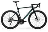 SCULTURA 6000 2026 - <br> Halo Green <br> > Dostupno u trgovini i webshopu