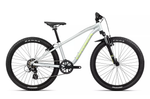 MX 24 XC 2024 - Silver/Spicy Lime <br> > Dostupno u trgovini i webshopu
