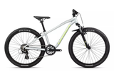 MX 24 XC 2024 - Silver/Spicy Lime <br> > Dostupno u trgovini i webshopu