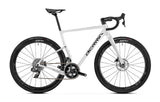 BELADOR GF 8 2023 - CUSTOM <br> > Dostupno po narudžbi