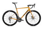 BELADOR 6 2023 - CUSTOM <br> > Dostupno po narudžbi