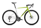 BELADOR 6 2023 - CUSTOM <br> > Dostupno po narudžbi