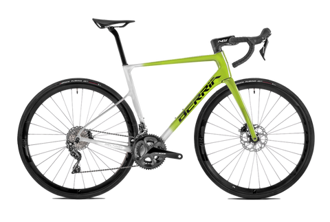 BELADOR 6 2023 - CUSTOM <br> > Dostupno po narudžbi