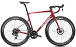 BELADOR 9 2023 - CUSTOM <br> > Dostupno po narudžbi
