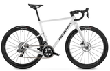 BELADOR GF 8 2023 - CUSTOM <br> > Dostupno po narudžbi