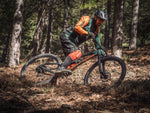 MTB DRES WOODS DARTMOOR