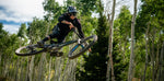 OFFERING LS 29 - 150 mm <br> > Absinthe